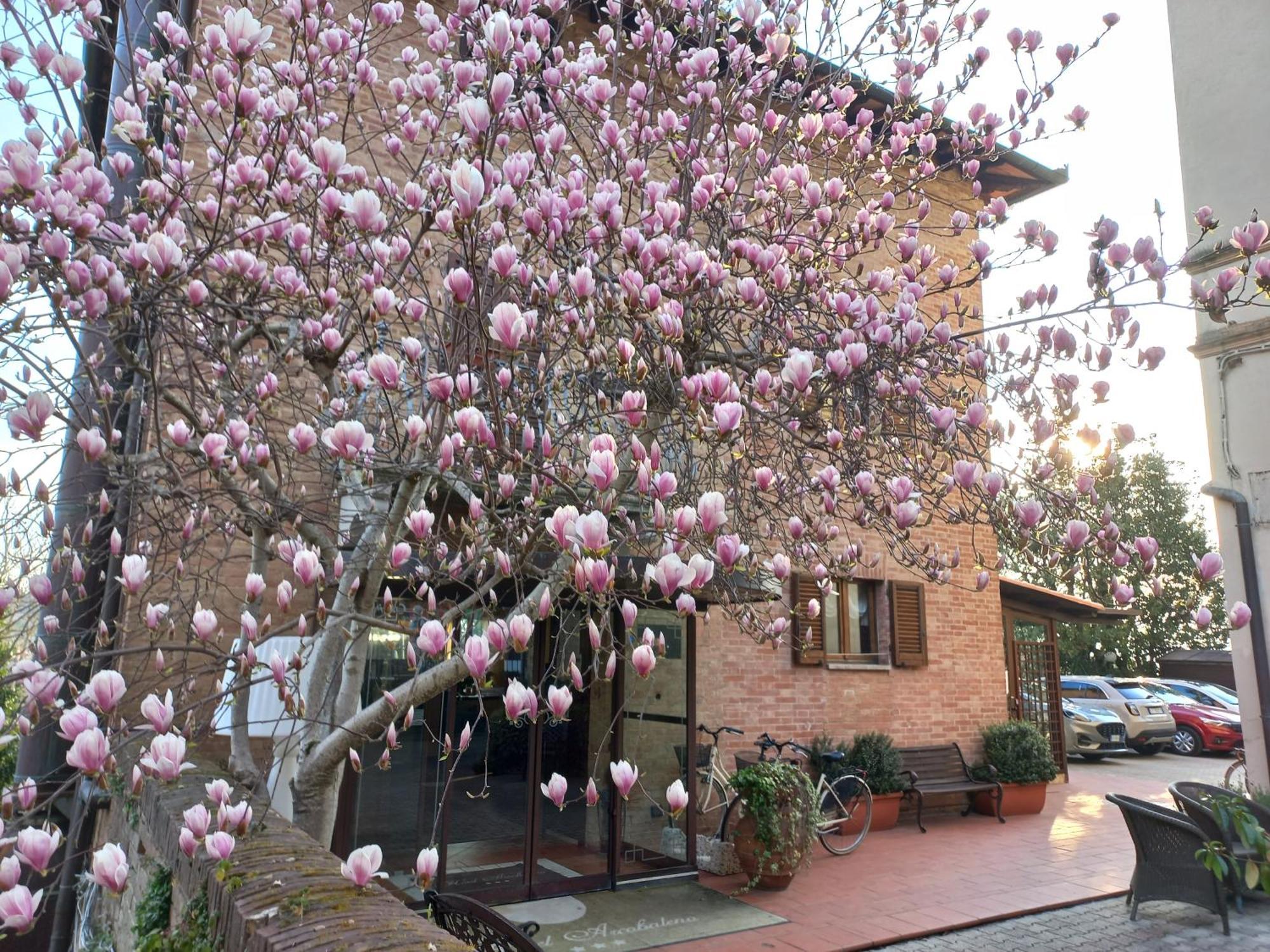 Hotel Arcobaleno Siena Dış mekan fotoğraf
